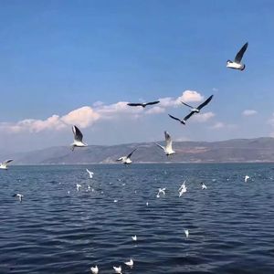 脱麻麻裙子从后面挺进去漫画
