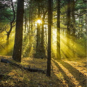 脱麻麻裙子从后面挺进去漫画
